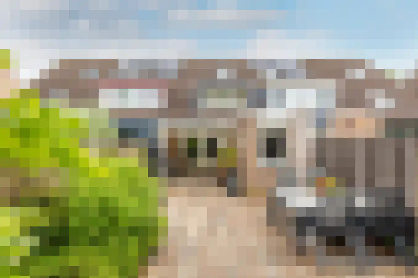 Dijckscampenlaan 107 Purmerend thumbnail 34