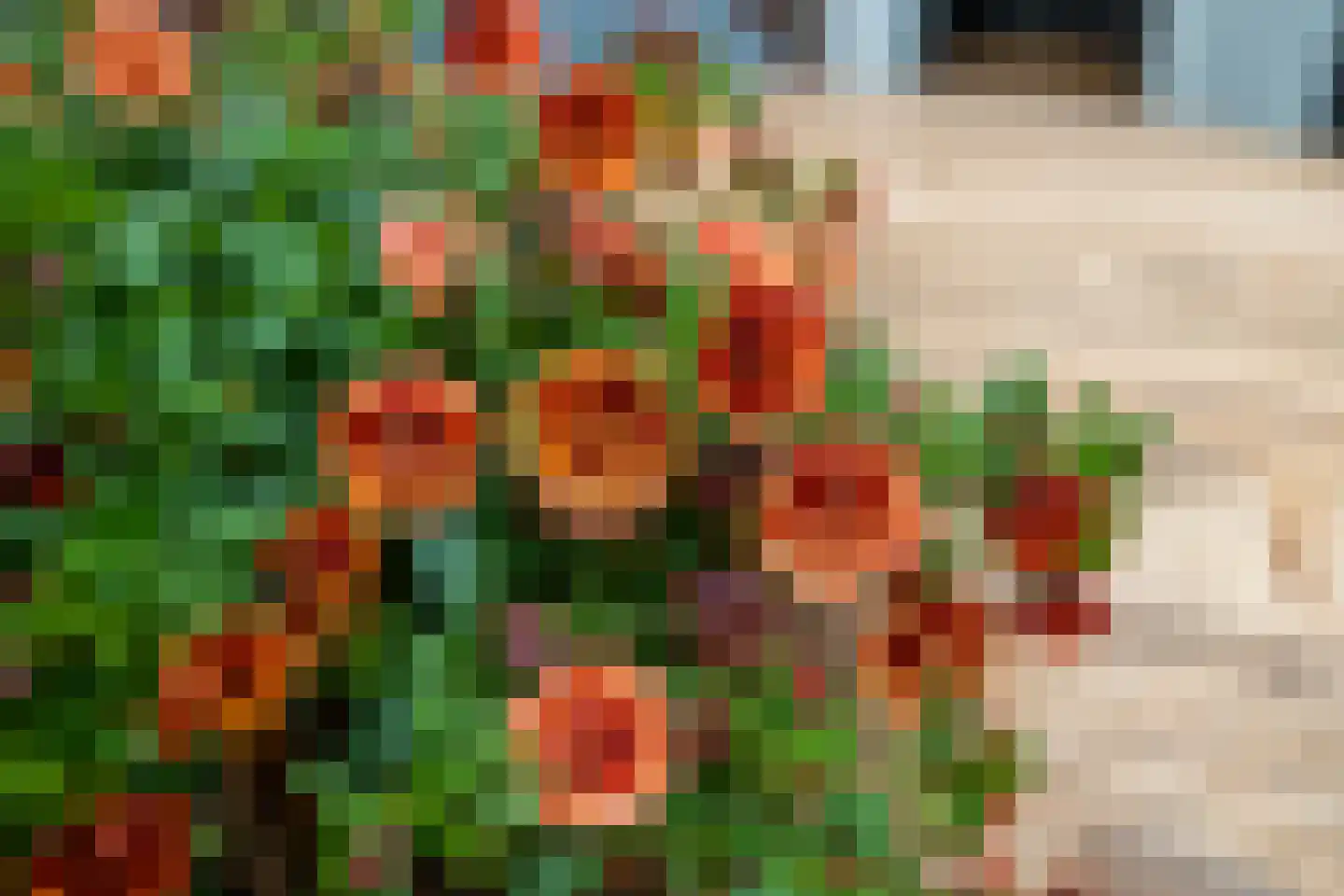 Dijckscampenlaan 107 Purmerend thumbnail 36