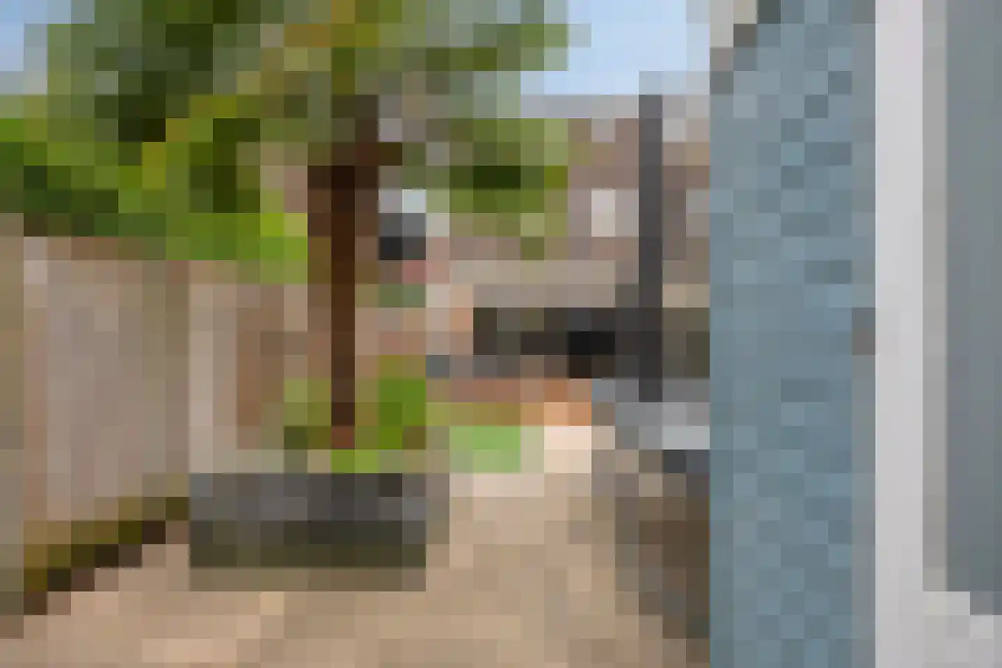 Dijckscampenlaan 112 Purmerend thumbnail 33