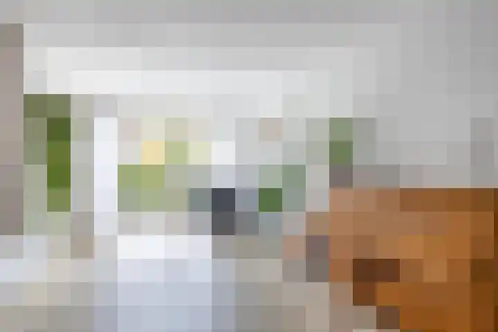 Dijckscampenlaan 119 Purmerend thumbnail 13