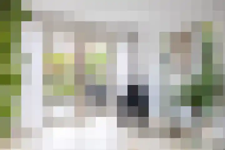 Dijckscampenlaan 119 Purmerend thumbnail 15