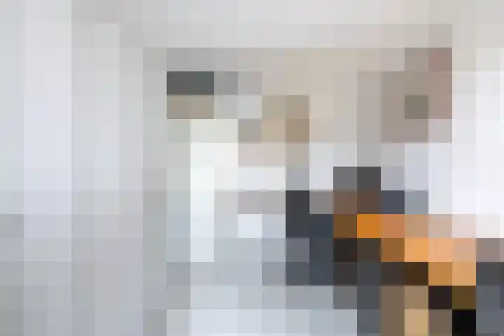 Dijckscampenlaan 119 Purmerend thumbnail 28