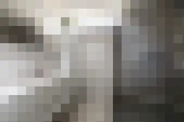 Dijckscampenlaan 119 Purmerend thumbnail 29