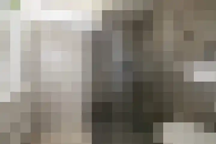 Dijckscampenlaan 119 Purmerend thumbnail 30