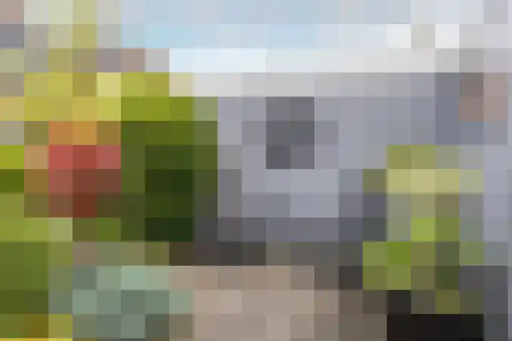 Dijckscampenlaan 119 Purmerend thumbnail 38