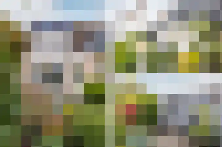 Dijckscampenlaan 119 Purmerend thumbnail 4