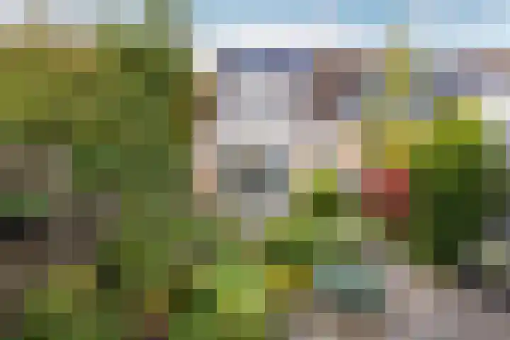 Dijckscampenlaan 119 Purmerend thumbnail 40