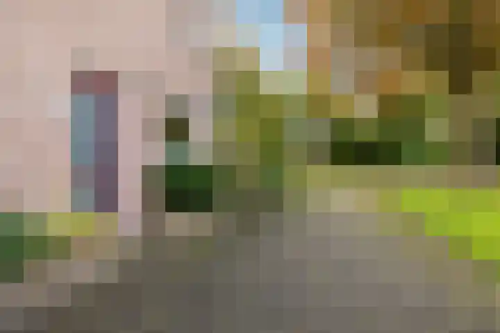 Dijckscampenlaan 119 Purmerend thumbnail 7