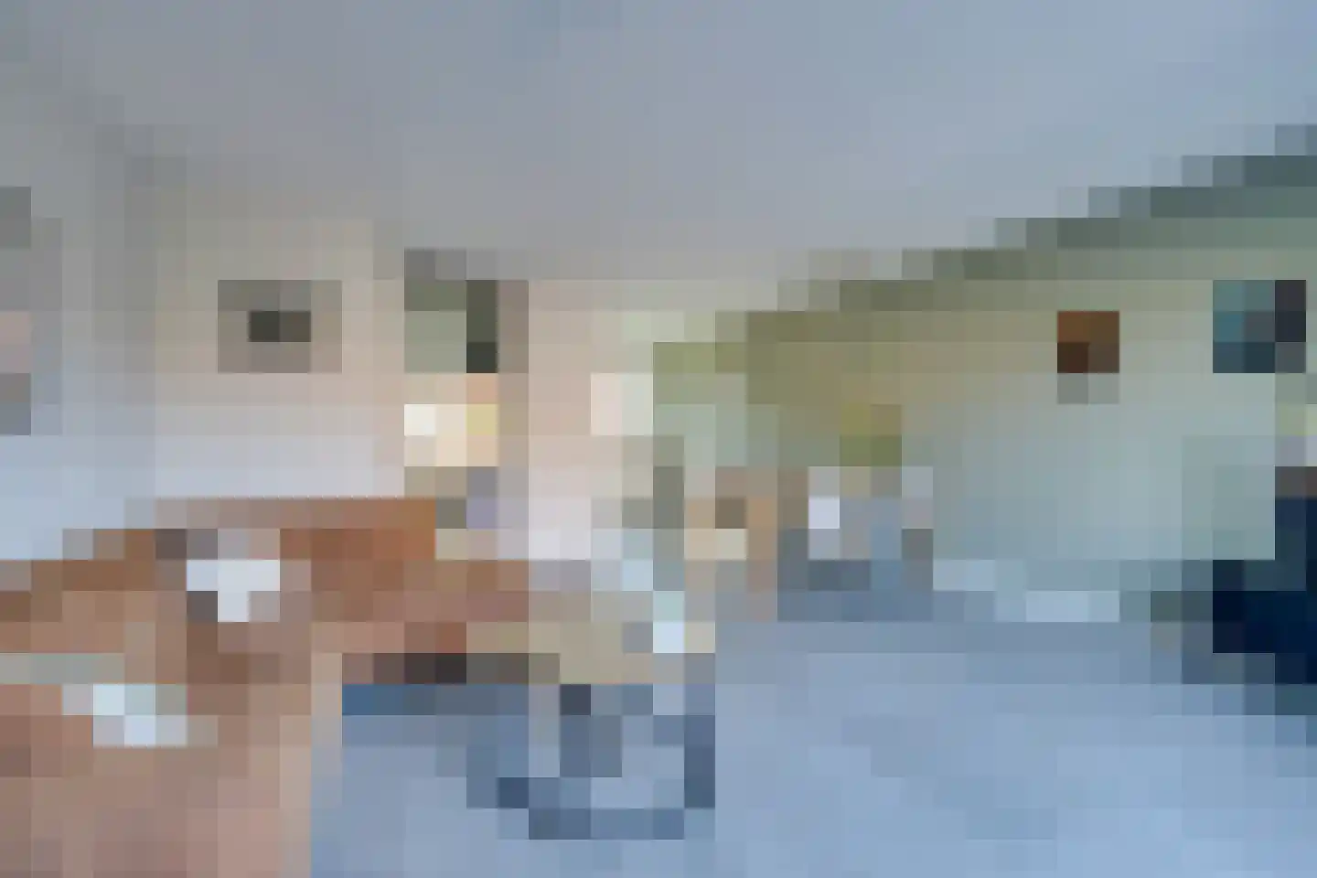 Dijckscampenlaan 28 Purmerend thumbnail 15