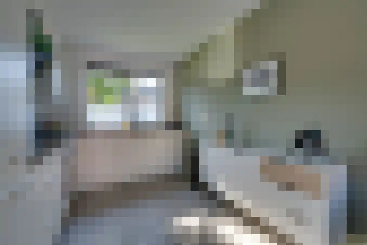Dijckscampenlaan 28 Purmerend thumbnail 20