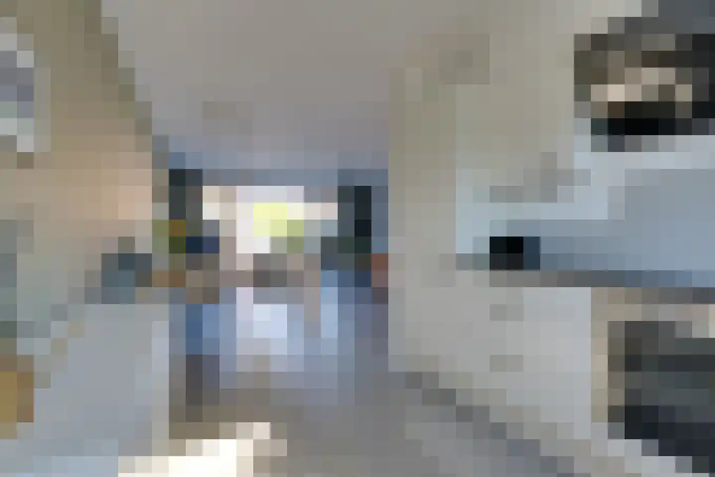 Dijckscampenlaan 28 Purmerend thumbnail 24
