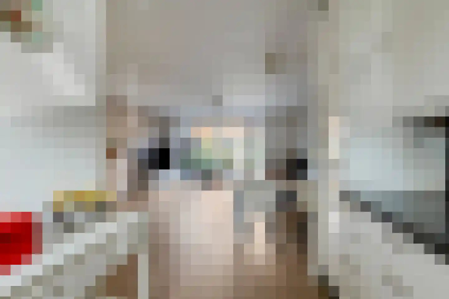 Dijckscampenlaan 74 Purmerend thumbnail 14