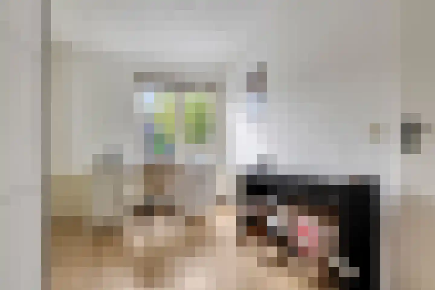 Dijckscampenlaan 74 Purmerend thumbnail 19