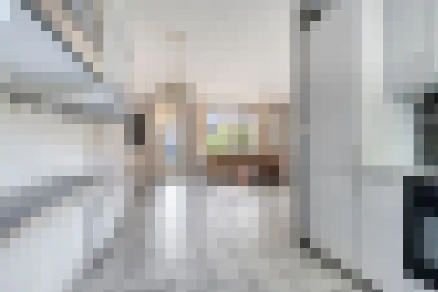 Dijckscampenlaan 79 Purmerend thumbnail 10