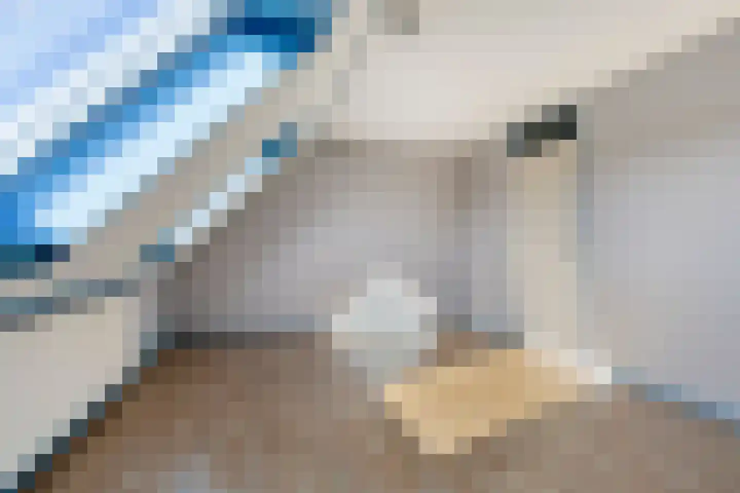 Dijckscampenlaan 79 Purmerend thumbnail 13