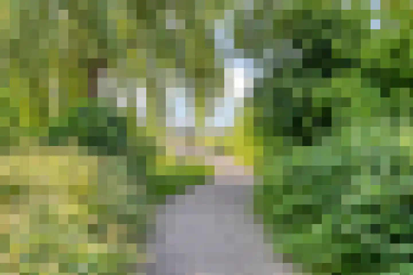 Dijckscampenlaan 79 Purmerend thumbnail 26
