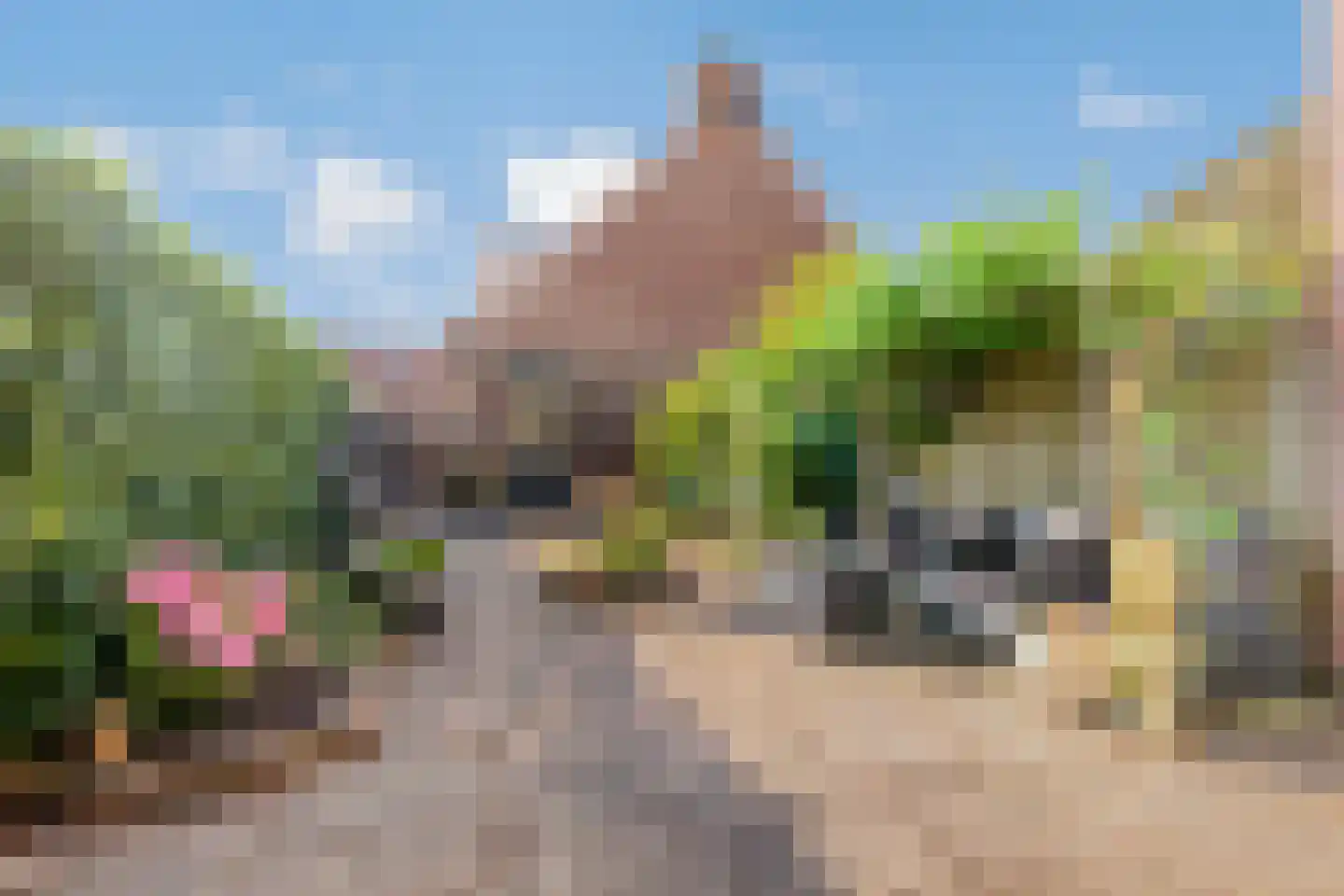 Dijckscampenlaan 79 Purmerend thumbnail 4
