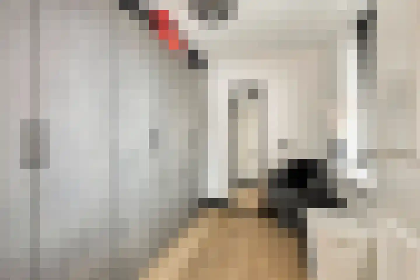 Dijckscampenlaan 8 Purmerend thumbnail 27