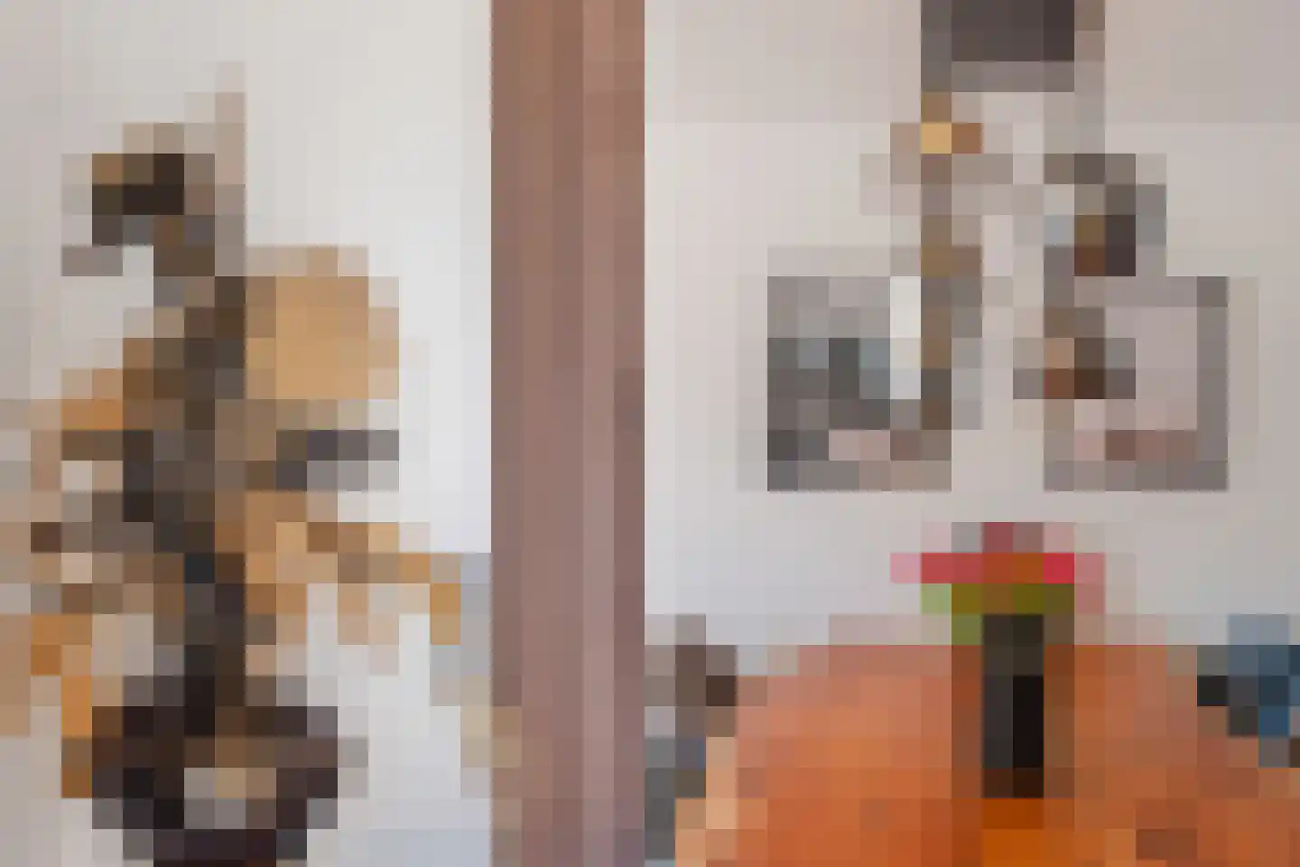 Dijckscampenlaan 81 Purmerend thumbnail 13