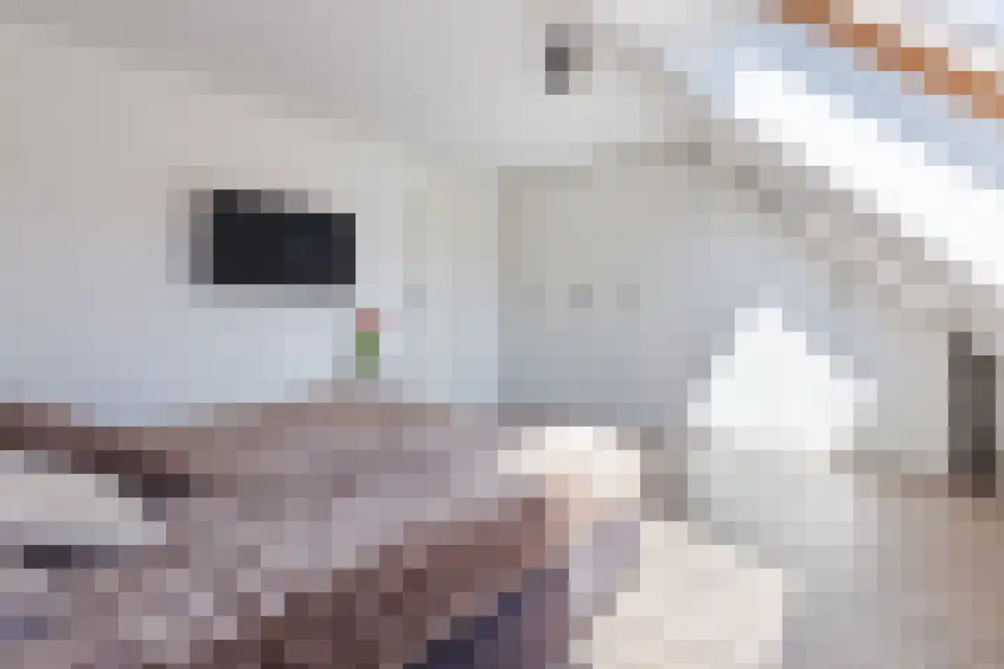Dijckscampenlaan 81 Purmerend thumbnail 25