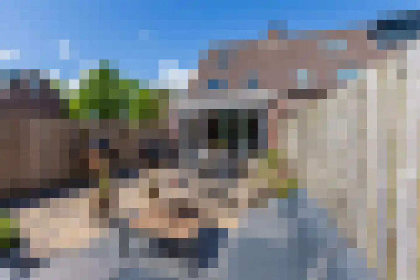 Dijckscampenlaan 81 Purmerend thumbnail 38
