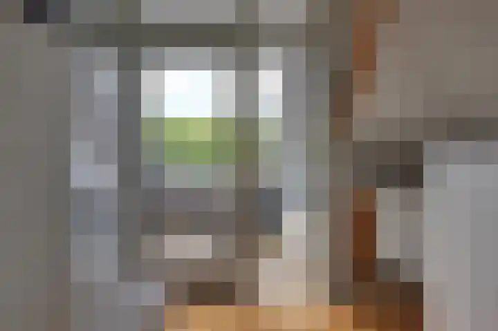 Dijk 10 Beuningen Gld thumbnail 22