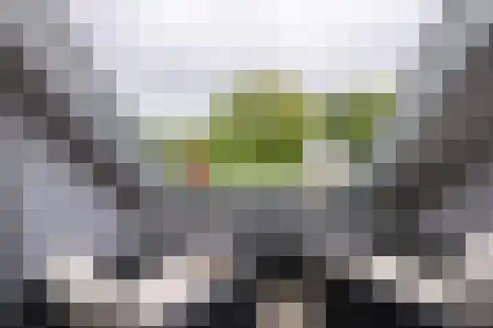 Dijk 10 Beuningen Gld thumbnail 44