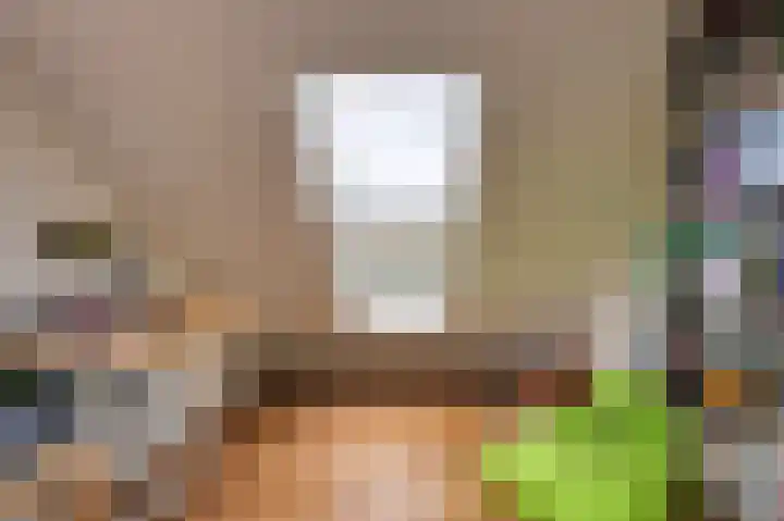 Dijk 10 Beuningen Gld thumbnail 46