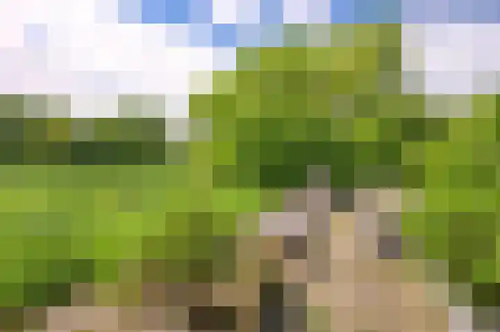 Dijk 10 Beuningen Gld thumbnail 48