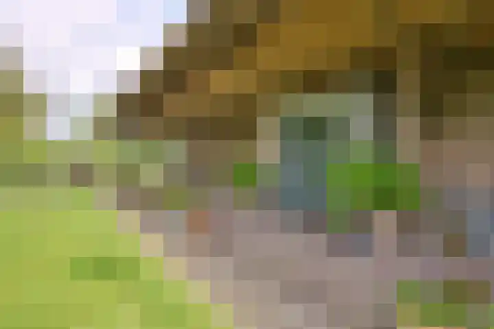Dijk 10 Beuningen Gld thumbnail 49