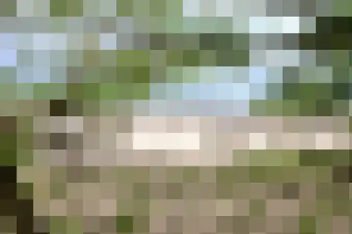 Dijk 10 Beuningen Gld thumbnail 52