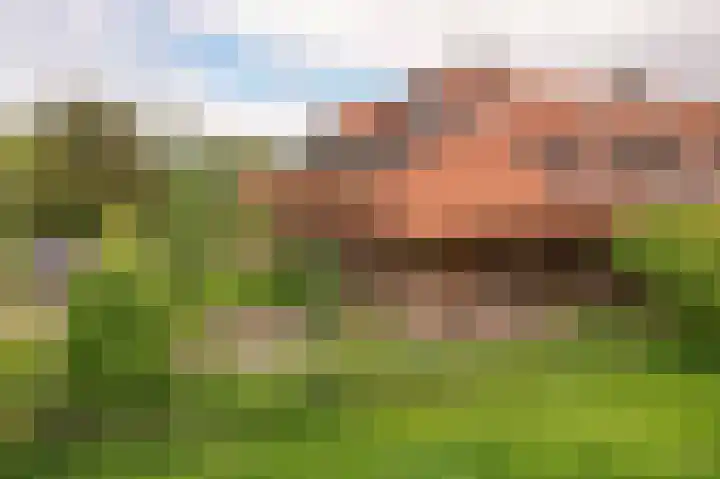 Dijk 10 Beuningen Gld thumbnail 6