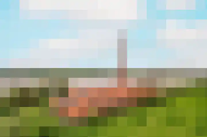 Dijk 10 Beuningen Gld thumbnail 61