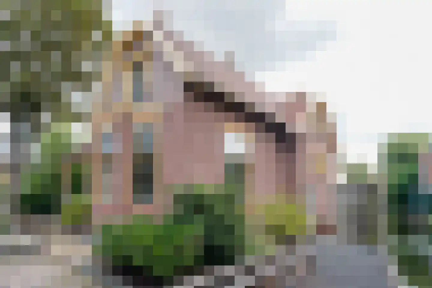 Dijk 108 Broek op Langedijk thumbnail 56