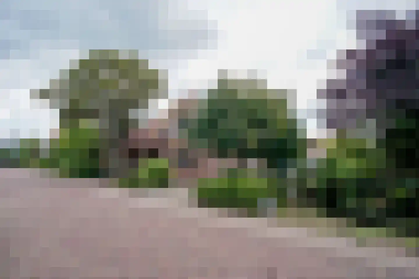 Dijk 108 Broek op Langedijk thumbnail 58