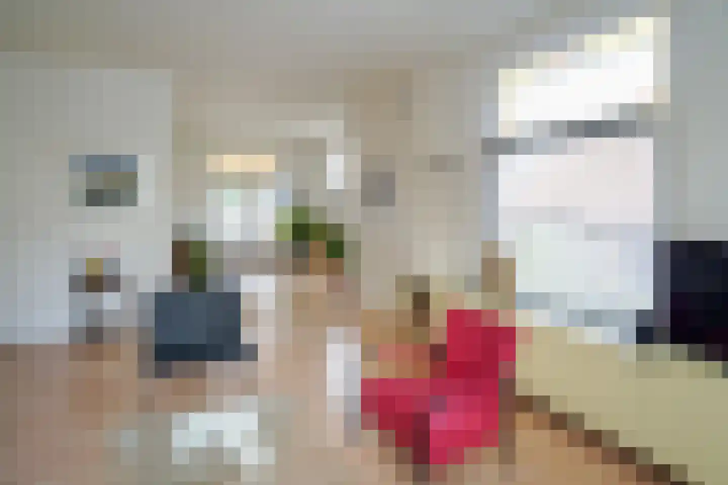 Dijk 108 Broek op Langedijk thumbnail 8