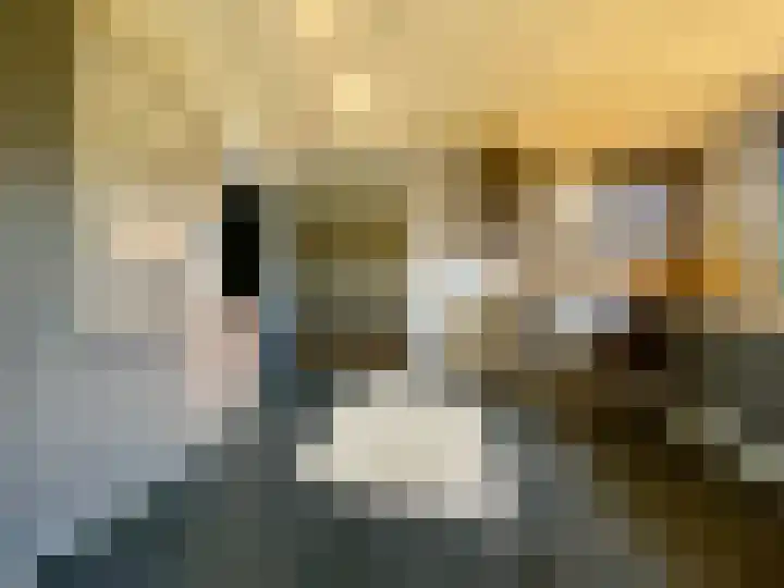 Dijk 18 Grevenbicht thumbnail 10