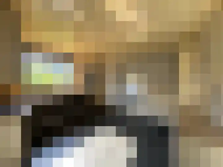 Dijk 18 Grevenbicht thumbnail 11