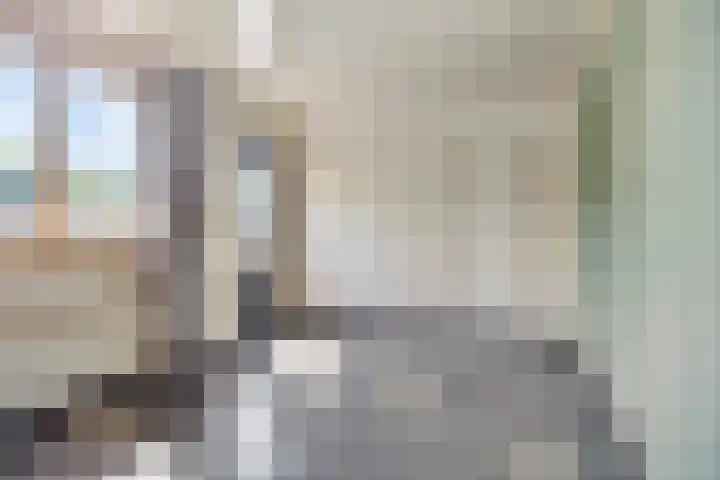 Dijk 18 Grevenbicht thumbnail 12