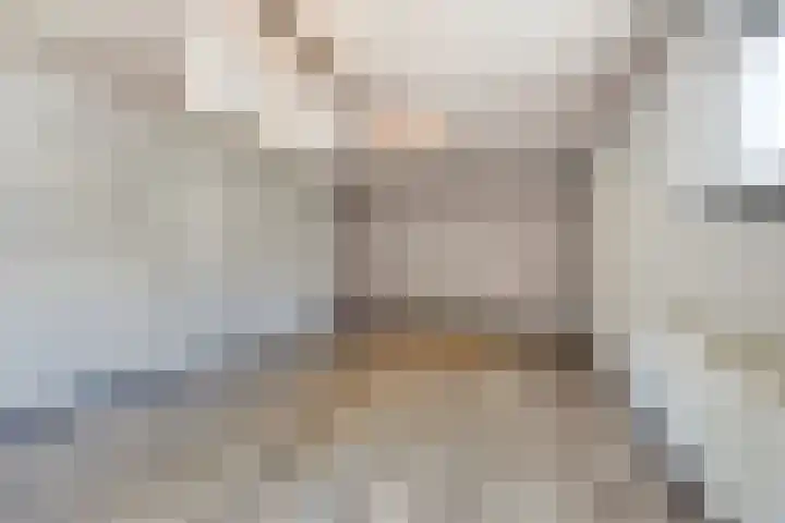 Dijk 18 Grevenbicht thumbnail 20