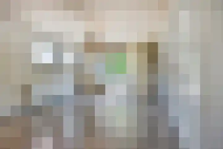 Dijk 18 Grevenbicht thumbnail 21