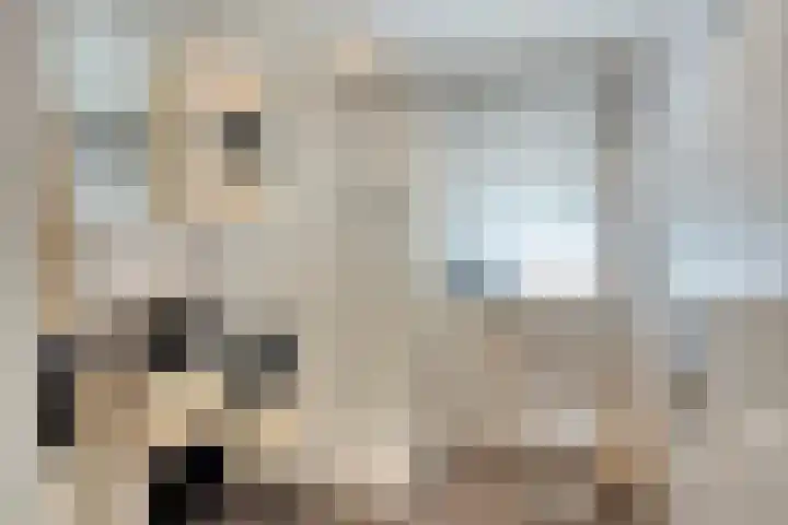 Dijk 18 Grevenbicht thumbnail 22