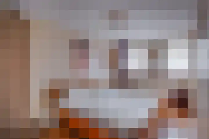 Dijk 18 Grevenbicht thumbnail 27