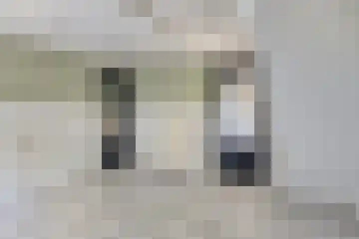 Dijk 18 Grevenbicht thumbnail 28