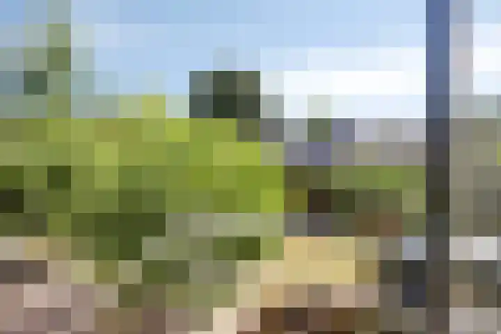 Dijk 18 Grevenbicht thumbnail 29