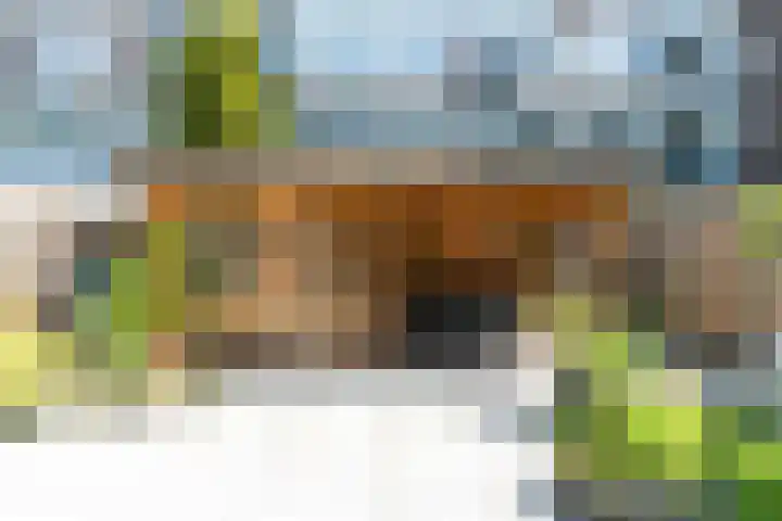 Dijk 18 Grevenbicht thumbnail 30