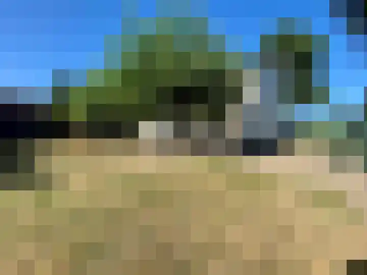 Dijk 18 Grevenbicht thumbnail 31