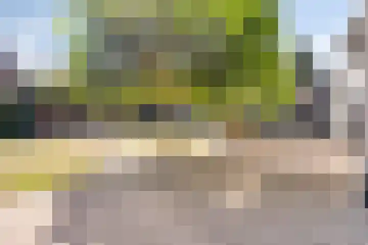 Dijk 18 Grevenbicht thumbnail 32