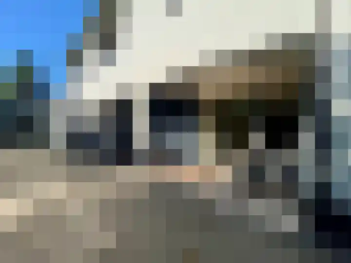 Dijk 18 Grevenbicht thumbnail 33