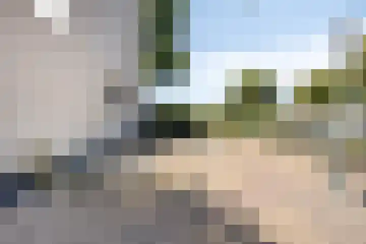 Dijk 18 Grevenbicht thumbnail 34